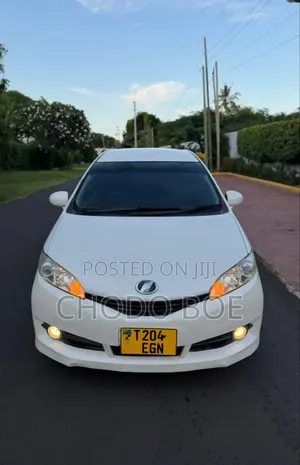 Toyota Wish 2010 Pearl