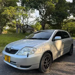 Toyota Corolla RunX 2003 Silver