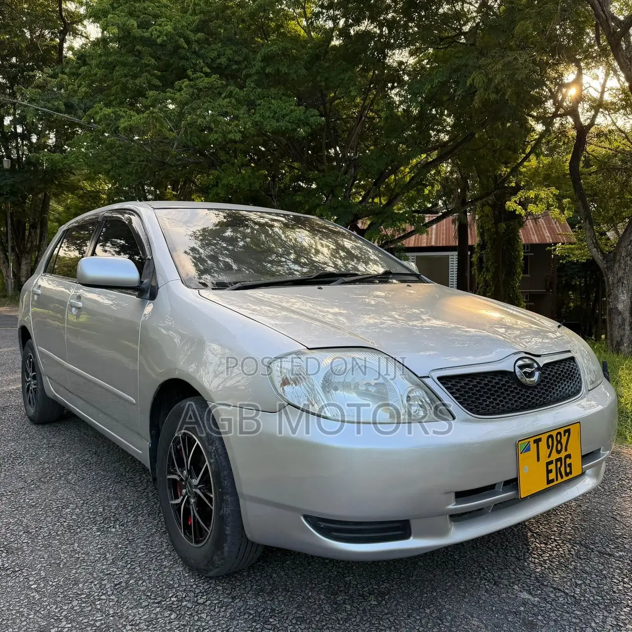 Toyota Corolla RunX 2003 Silver