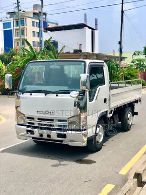 Isuzu 2 Toms Truck