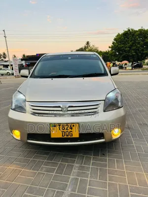 Toyota Raum 2008 Silver
