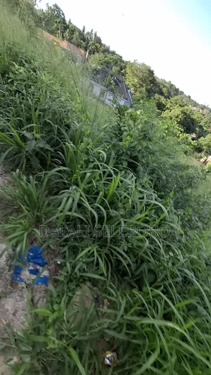 150 Hector at Bagamoyo Zinga Investment Area