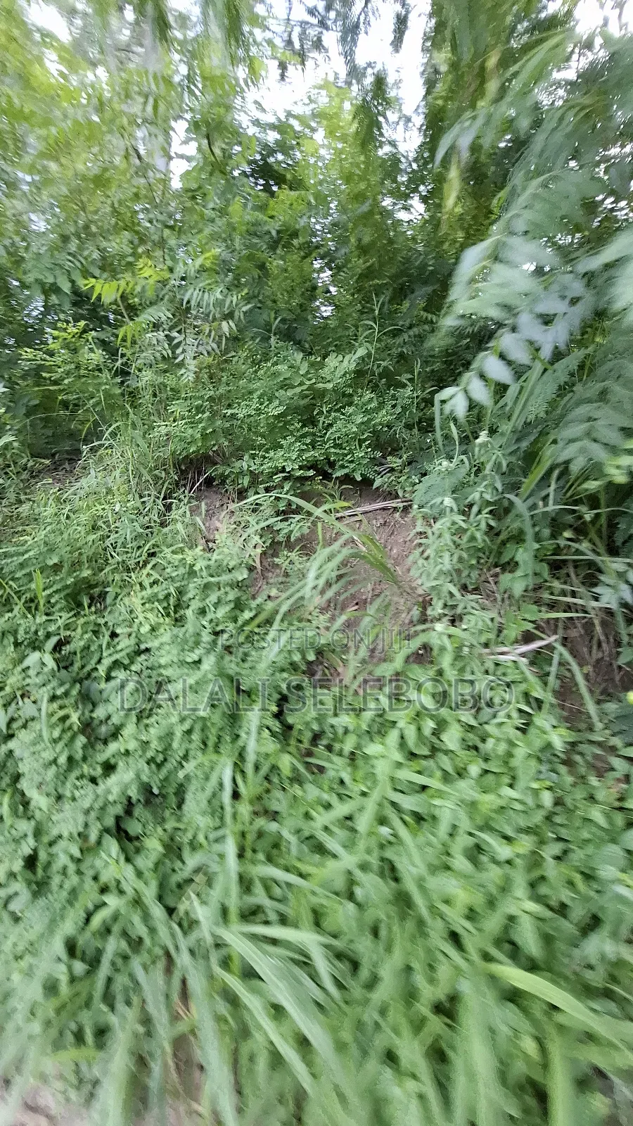 150 Hector at Bagamoyo Zinga Investment Area