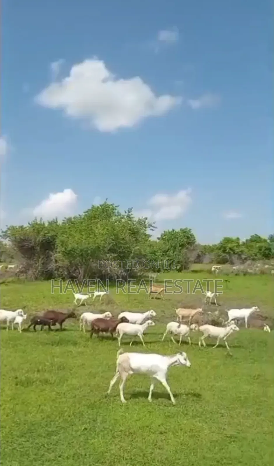Shamba La Ekari 300 Linauzwa Msoga Bagamoyo