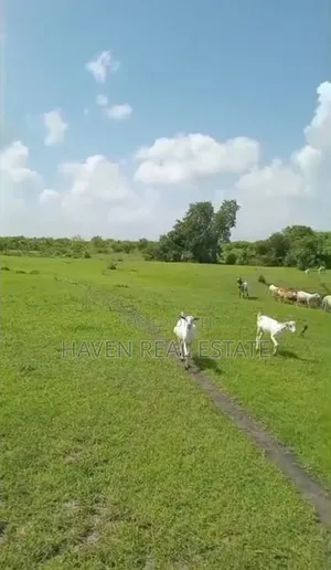 Shamba La Ekari 300 Linauzwa Msoga Bagamoyo