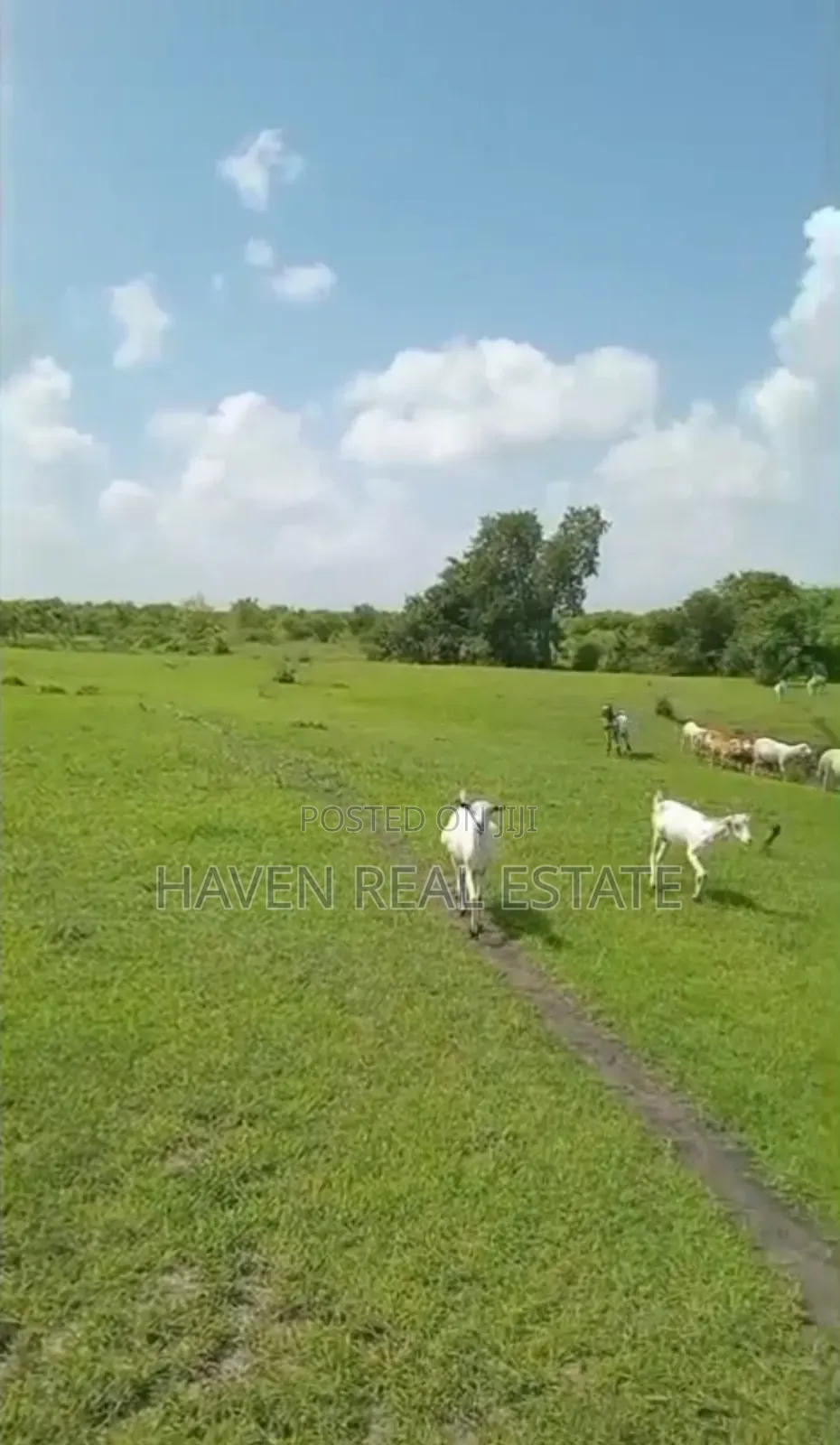 Shamba La Ekari 300 Linauzwa Msoga Bagamoyo