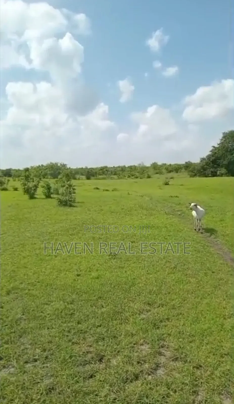 Shamba La Ekari 300 Linauzwa Msoga Bagamoyo