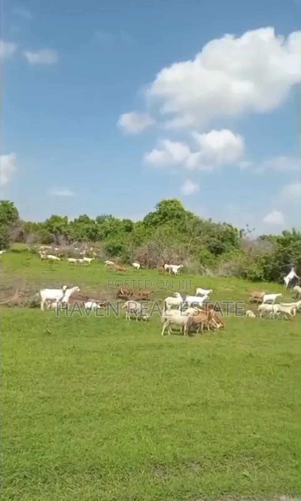 Shamba La Ekari 300 Linauzwa Msoga Bagamoyo