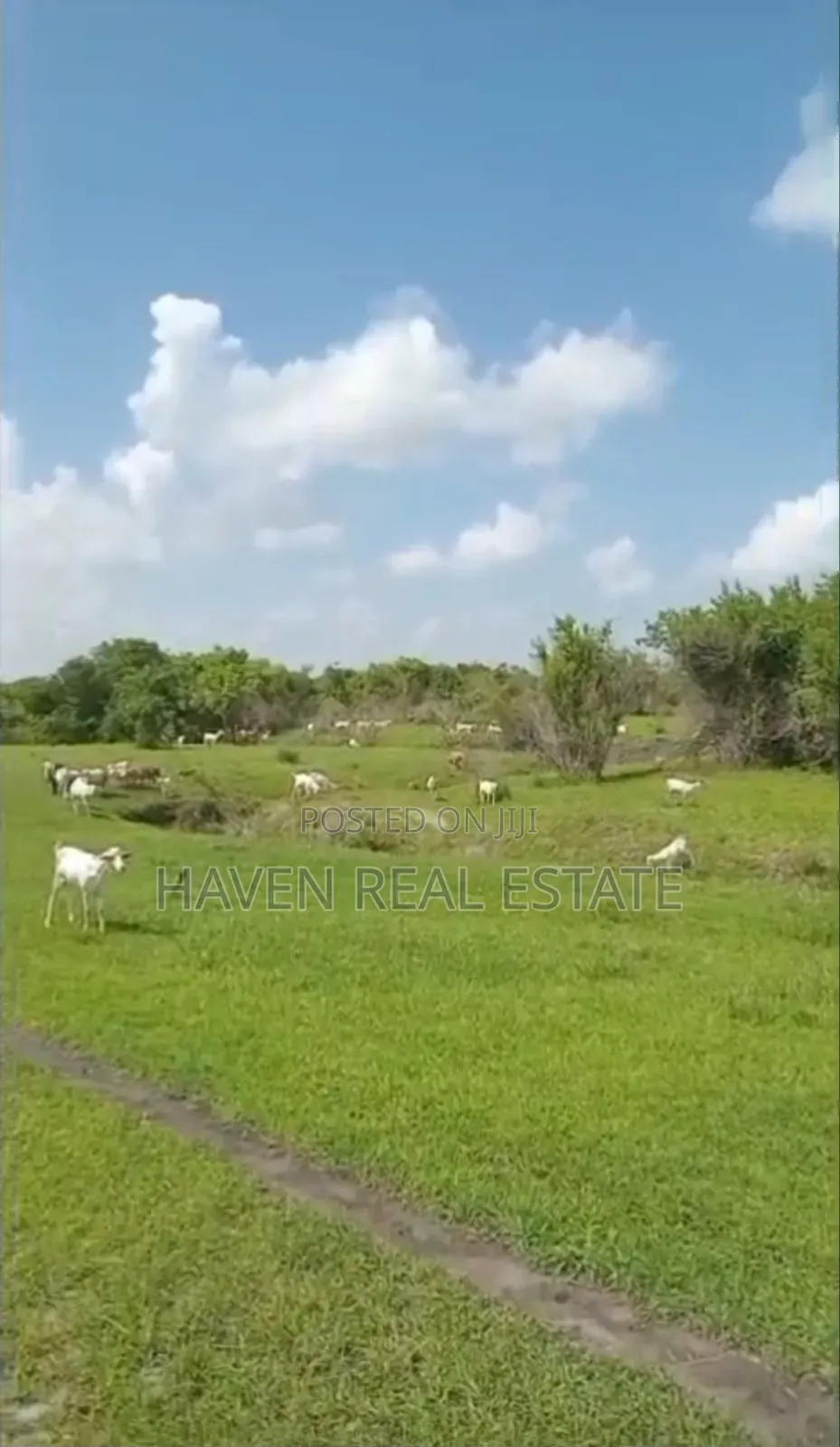 Shamba La Ekari 300 Linauzwa Msoga Bagamoyo