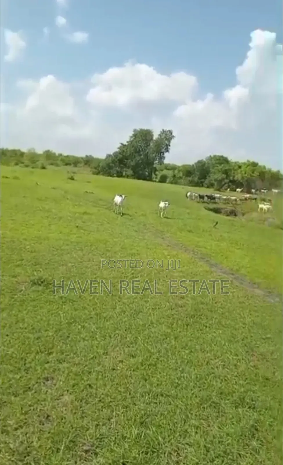 Shamba La Ekari 300 Linauzwa Msoga Bagamoyo
