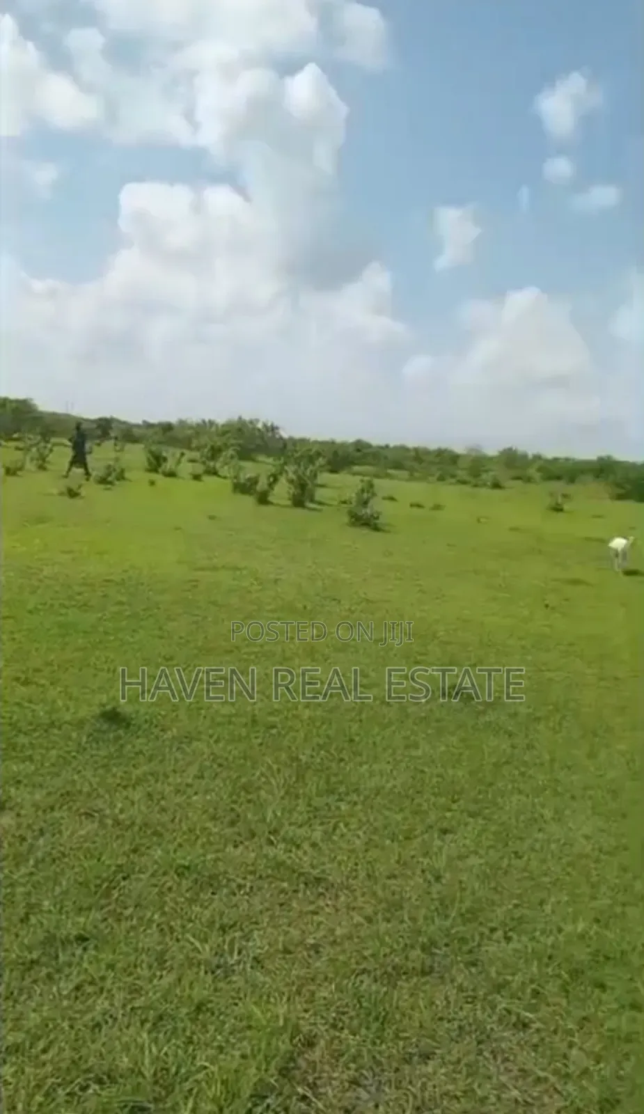 Shamba La Ekari 300 Linauzwa Msoga Bagamoyo