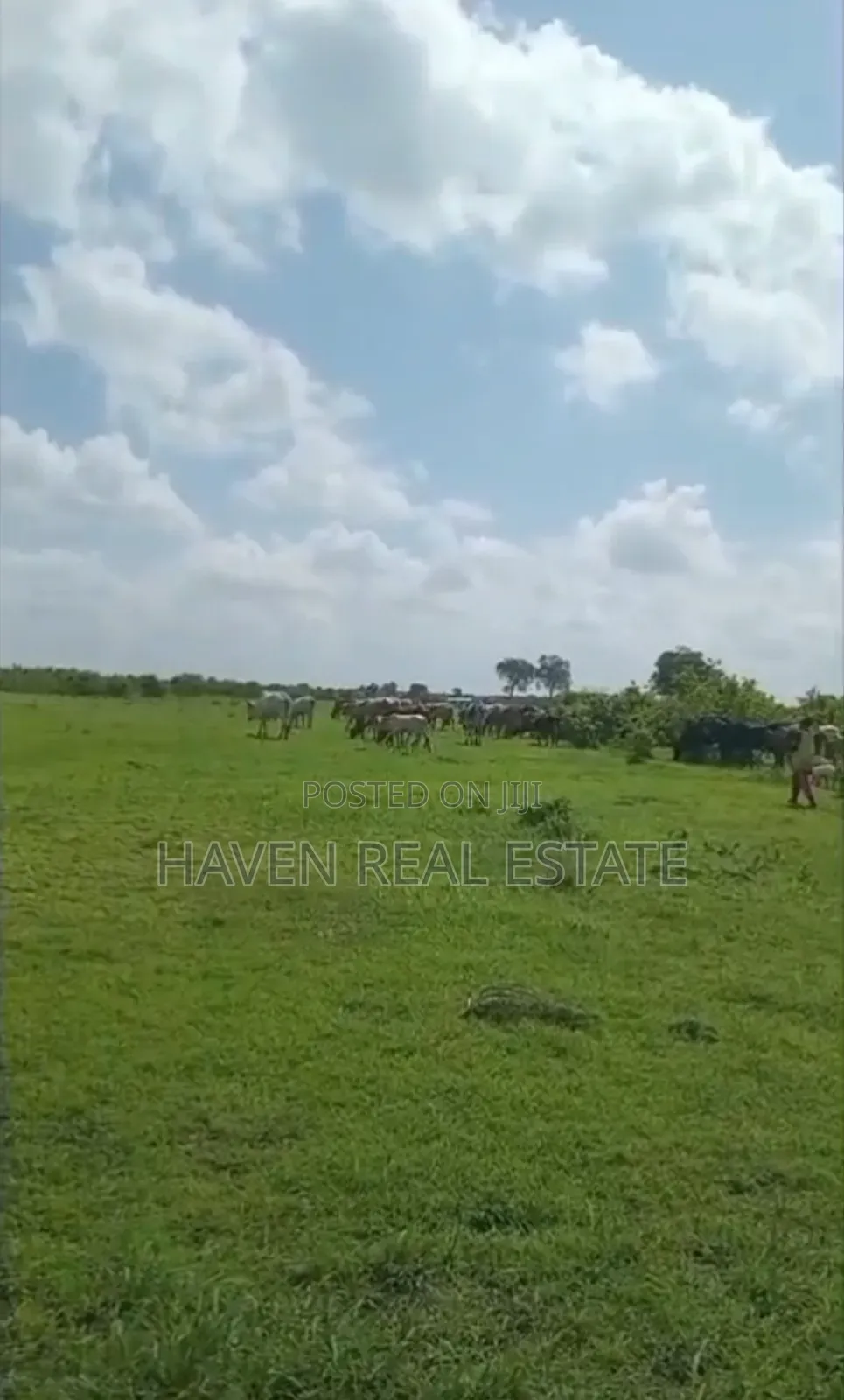 Shamba La Ekari 300 Linauzwa Msoga Bagamoyo