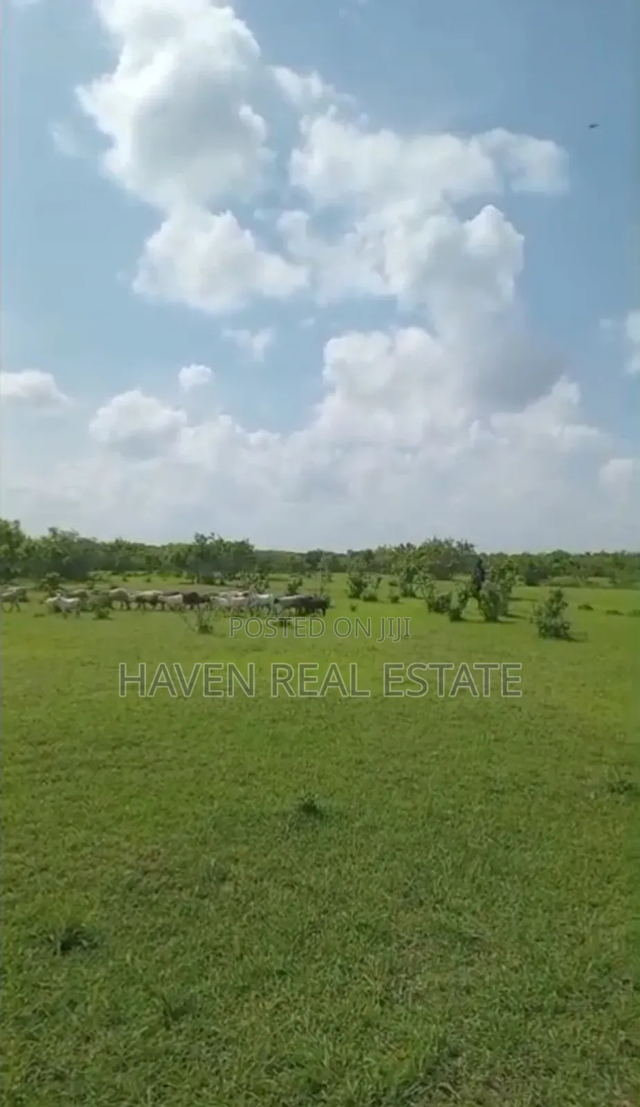 Shamba La Ekari 300 Linauzwa Msoga Bagamoyo