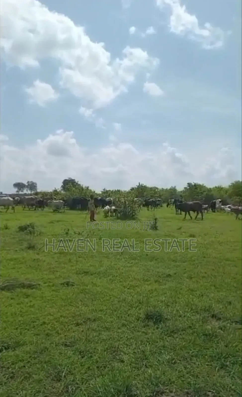 Shamba La Ekari 300 Linauzwa Msoga Bagamoyo