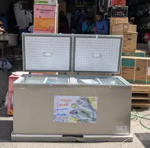 550 Liters Snowsea Chest Freezer