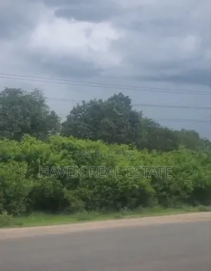 150 Acres Industrial Plot Zinauzwa Zinga Bagamoyo
