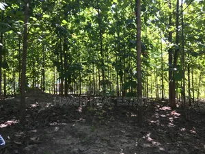 Shamba La Ekari 374 Linauzwa Ifakara Morogoro