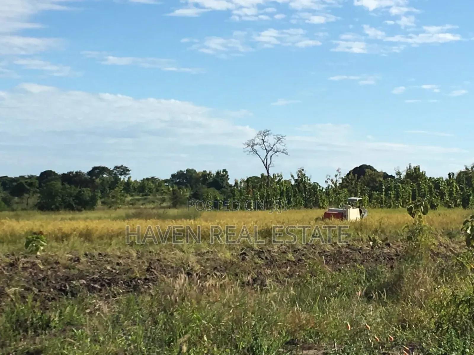 Shamba La Ekari 374 Linauzwa Ifakara Morogoro