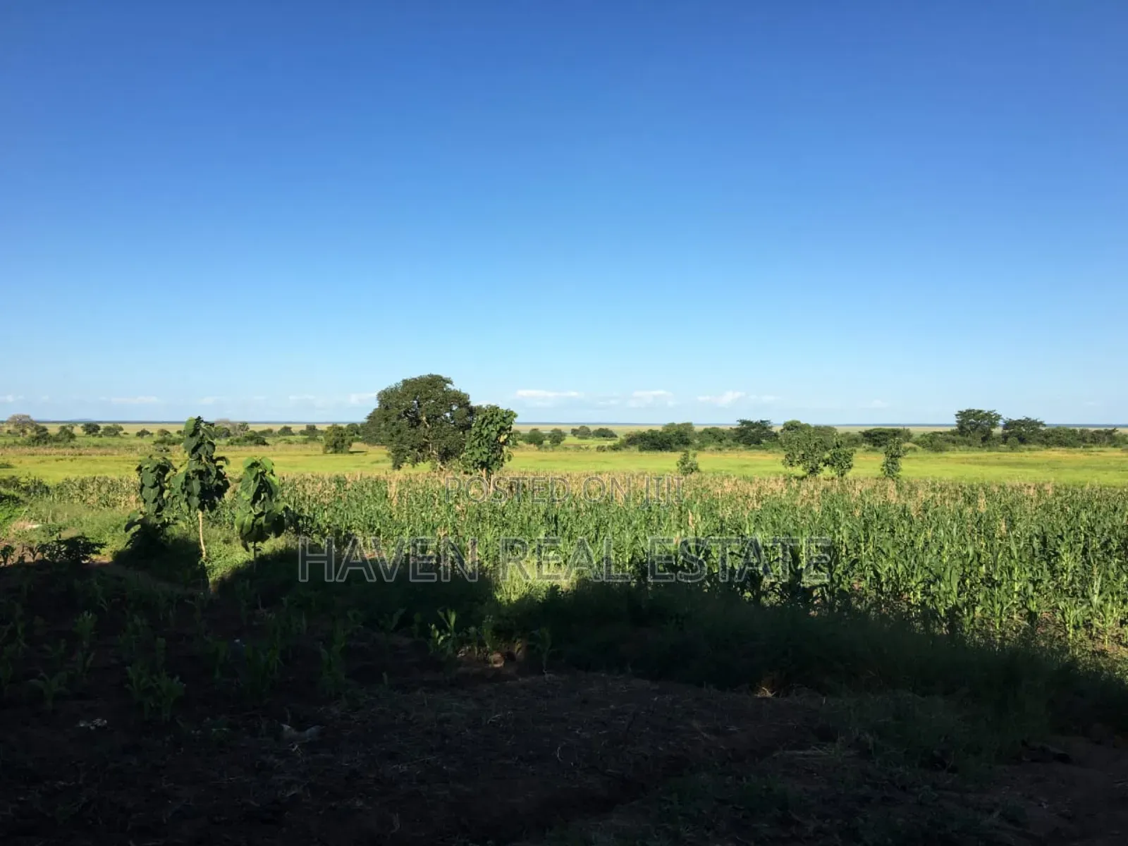 Shamba La Ekari 374 Linauzwa Ifakara Morogoro