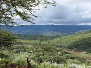 20 Acre For Investment In Karatu – Overlooking Ngorongoro Rim*