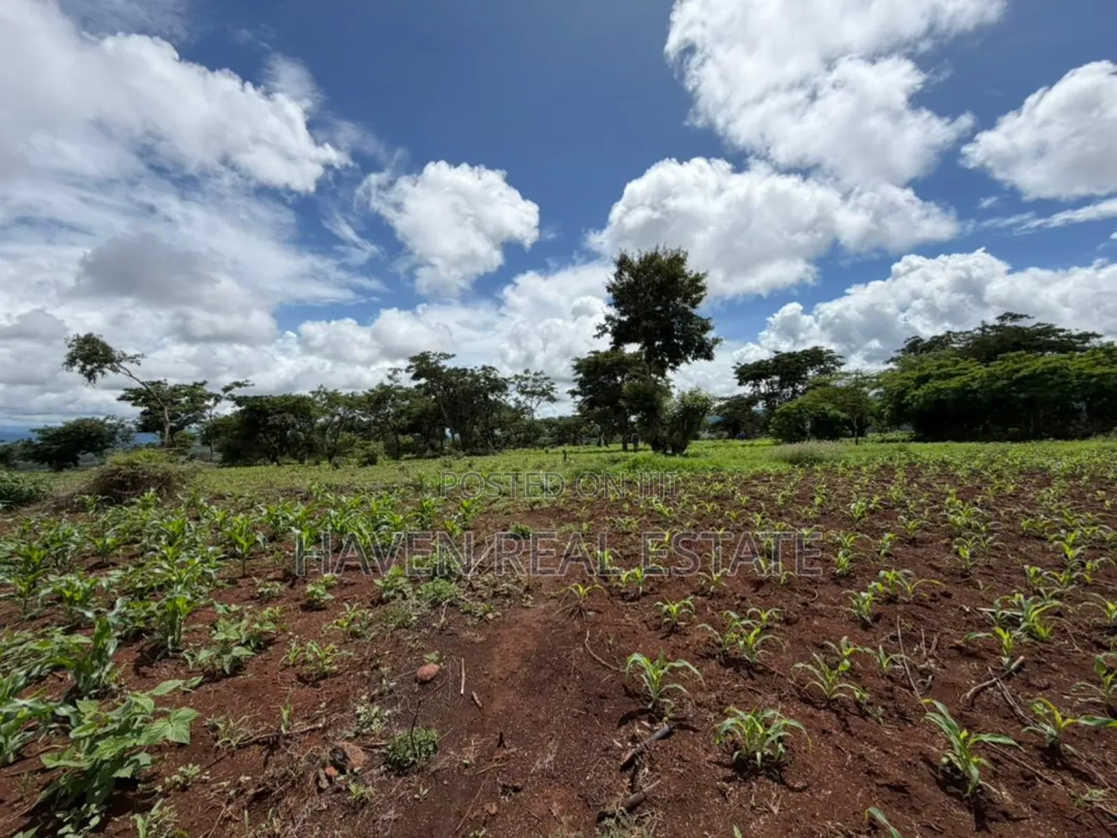 20 Acre For Investment In Karatu – Overlooking Ngorongoro Rim*