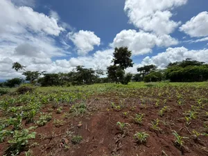 20 Acre For Investment In Karatu – Overlooking Ngorongoro Rim*