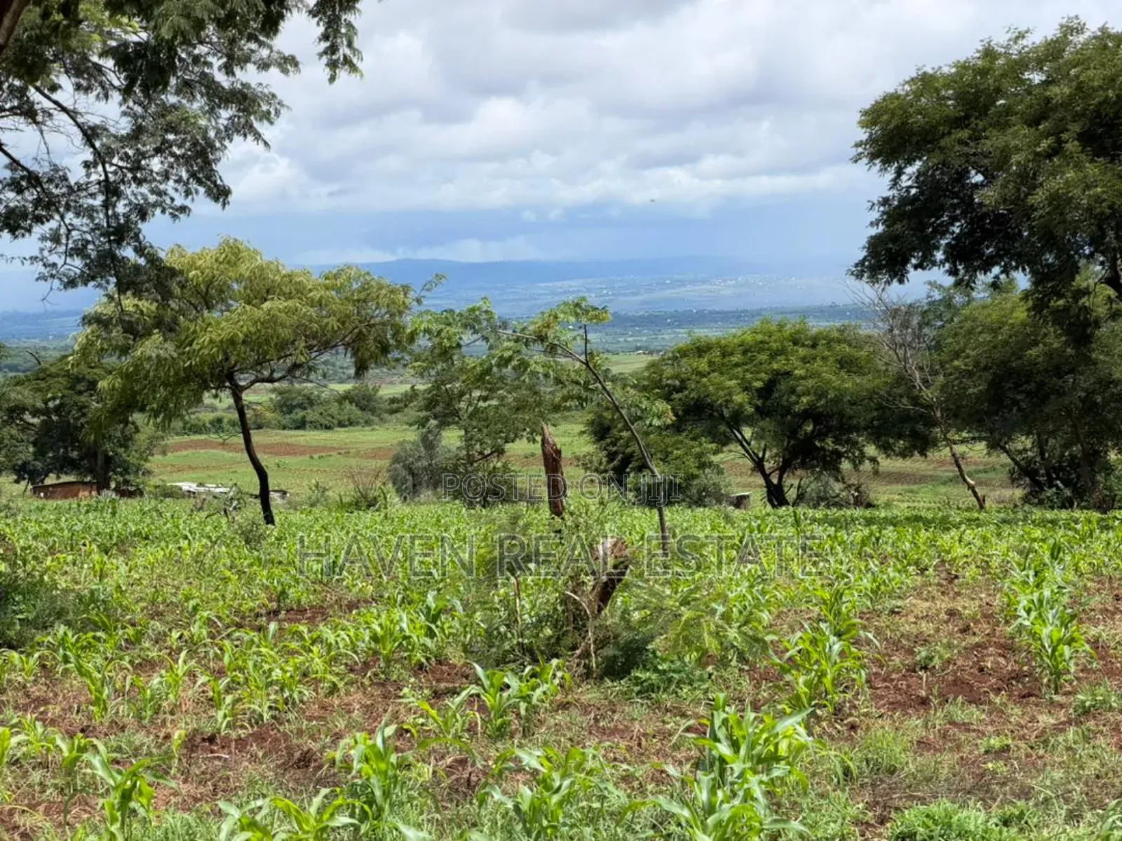 20 Acre For Investment In Karatu – Overlooking Ngorongoro Rim*