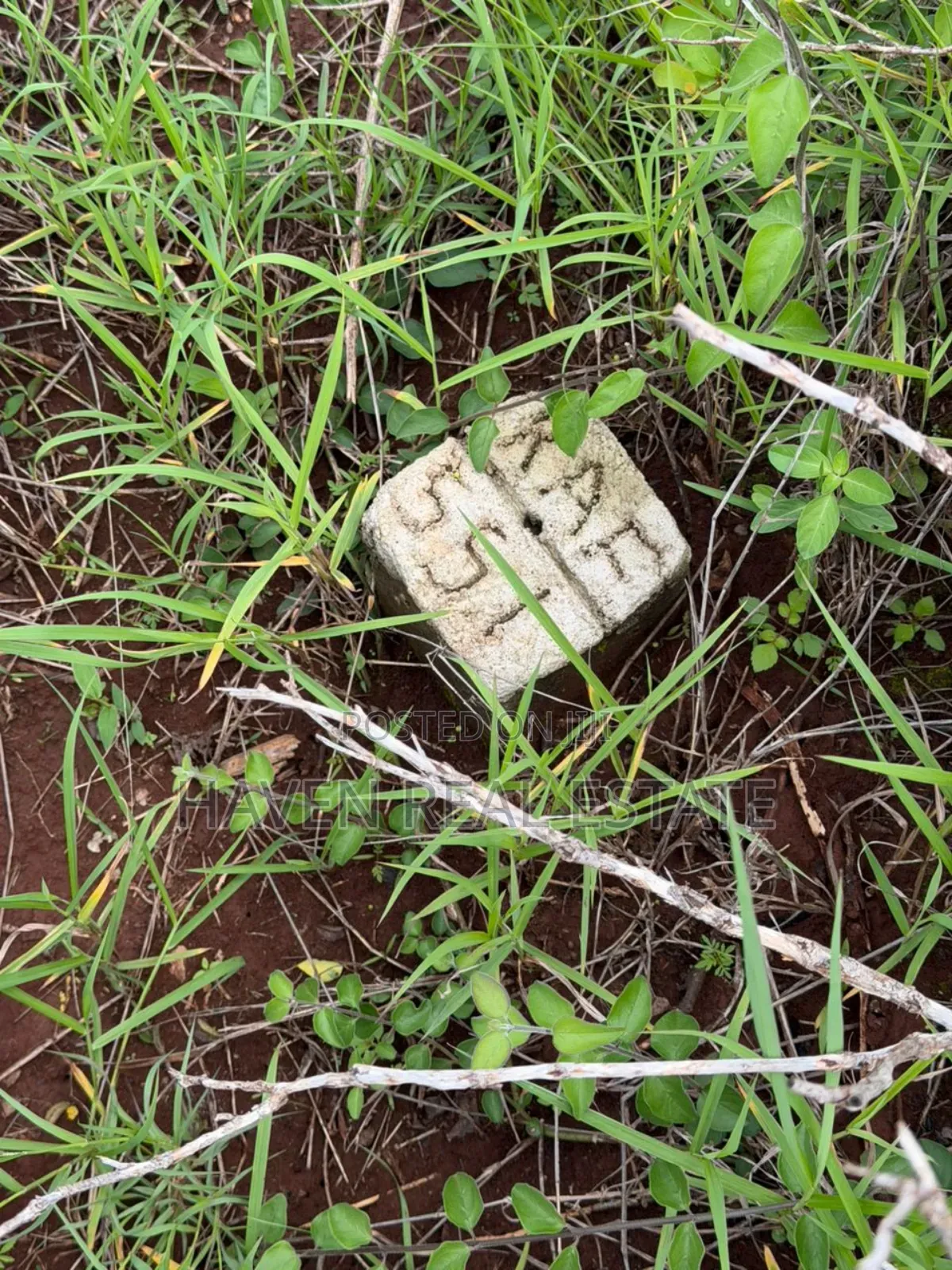 20 Acre For Investment In Karatu – Overlooking Ngorongoro Rim*