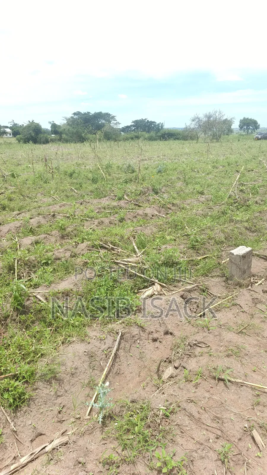 Land for Sale