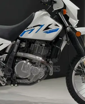 Suzuki 2022 White