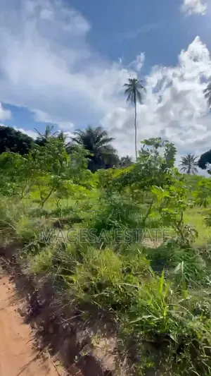 Magesa Estate