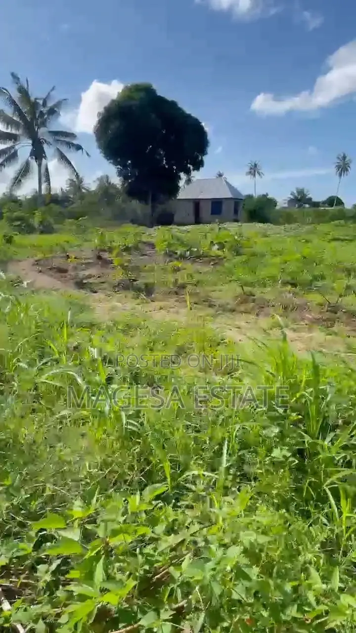 Magesa Estate