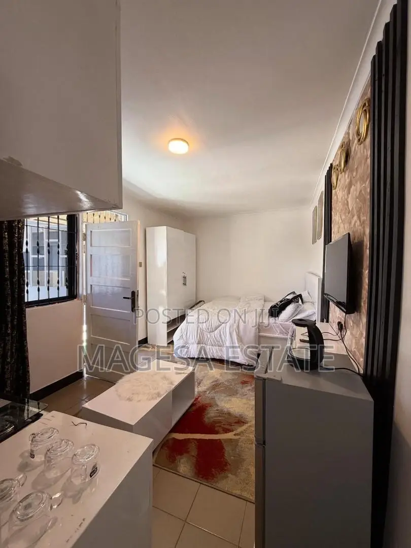 Furnished Studio Apartment in Magesa, Kinondoni for rent