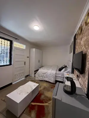 Furnished Studio Apartment in Magesa, Kinondoni for rent