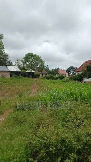 Kiwanja Kinauzwa Busweru