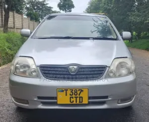 Toyota Allex 2003 Green