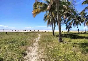 Furnished 20bdrm Bungalow in Mnara Hotel Beach ⛱️, Masoko for sale