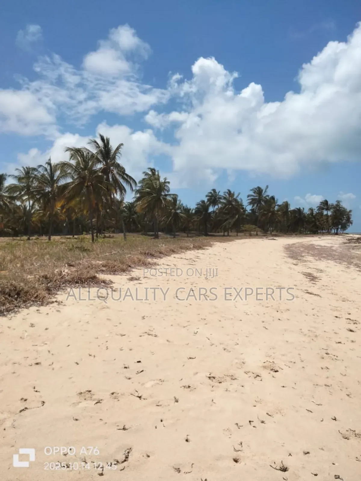 Furnished 20bdrm Bungalow in Mnara Hotel Beach ⛱️, Masoko for sale