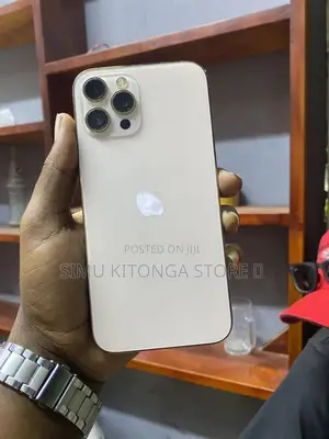 Apple iPhone 12 Pro Max 256 GB Rose Gold