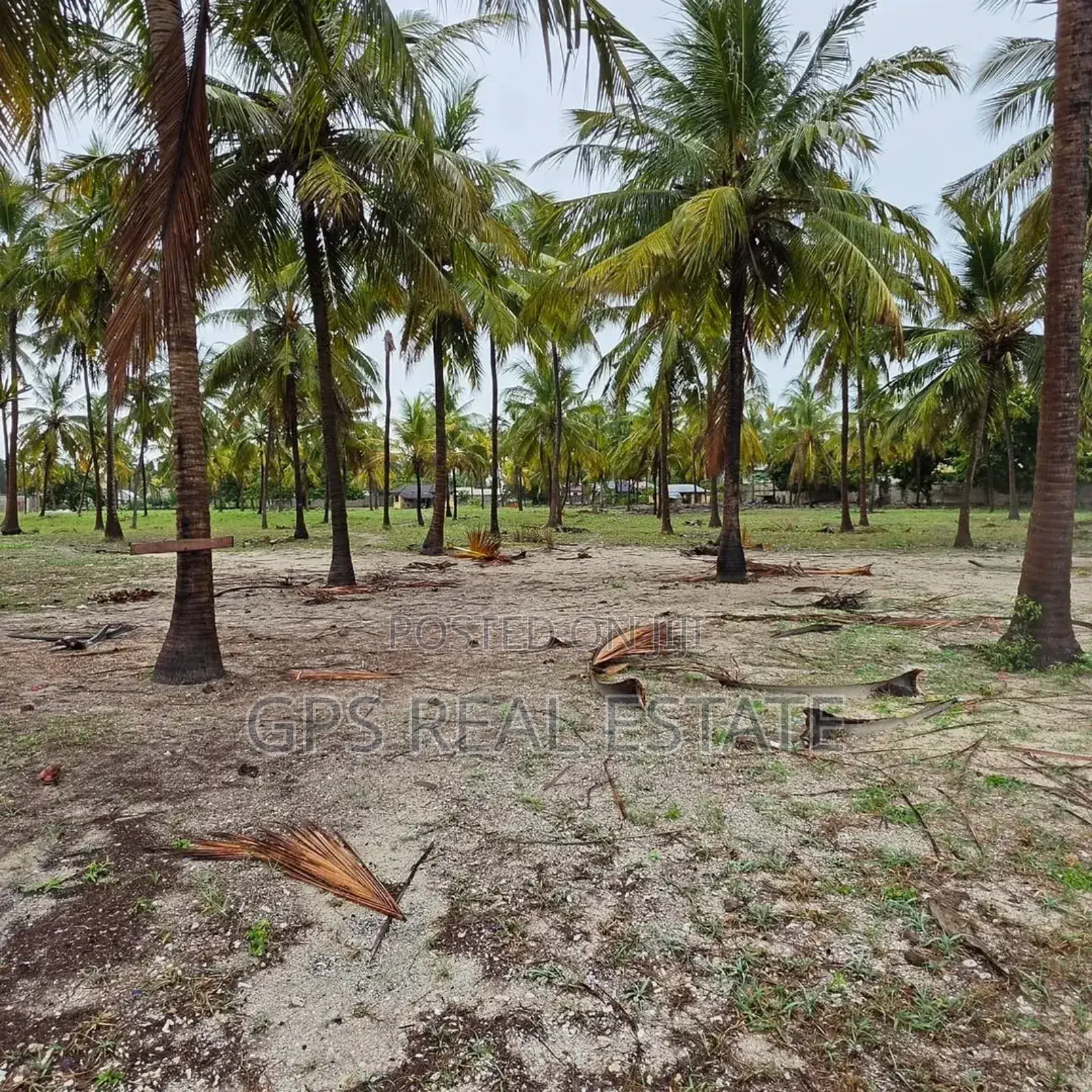 Beach Plot for Sale Maweni Kigamboni