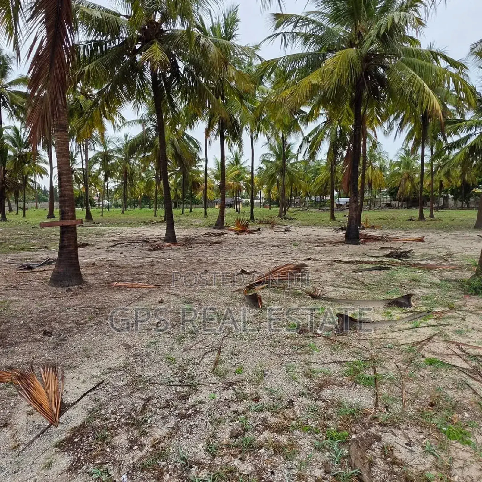 Beach Plot for Sale Maweni Kigamboni