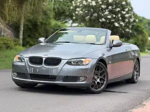 BMW 3 Series 325i RWD 2009 Gray