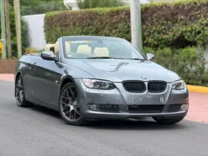 BMW 3 Series 325i RWD 2009 Gray