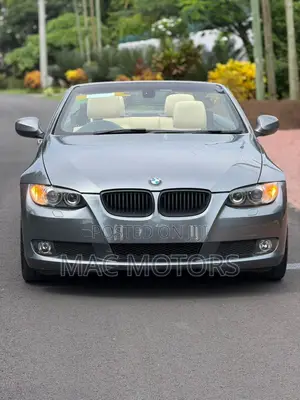 BMW 3 Series 325i RWD 2009 Gray