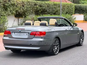 BMW 3 Series 325i RWD 2009 Gray