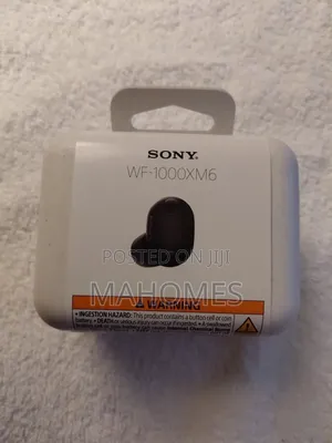 Sony Wf-100xm6 Buds Available
