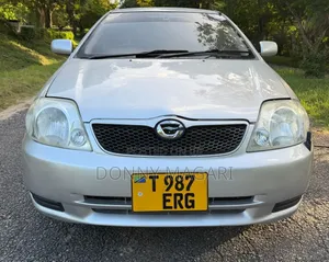 Toyota Corolla RunX 2007 Silver