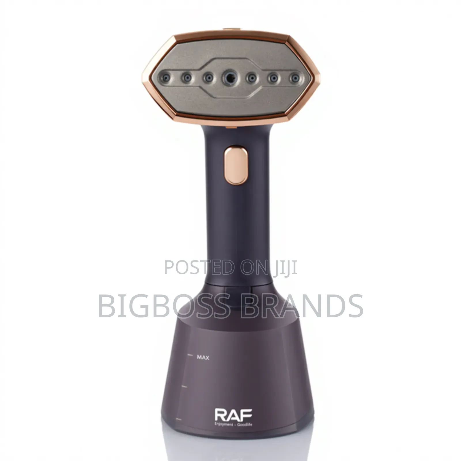 Raf Hand Garmet Steamer Iron R.1395b