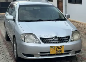 Toyota Allex 2005 Silver