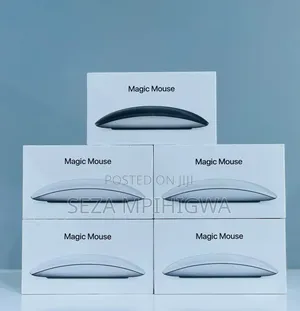 *Magic Mouse